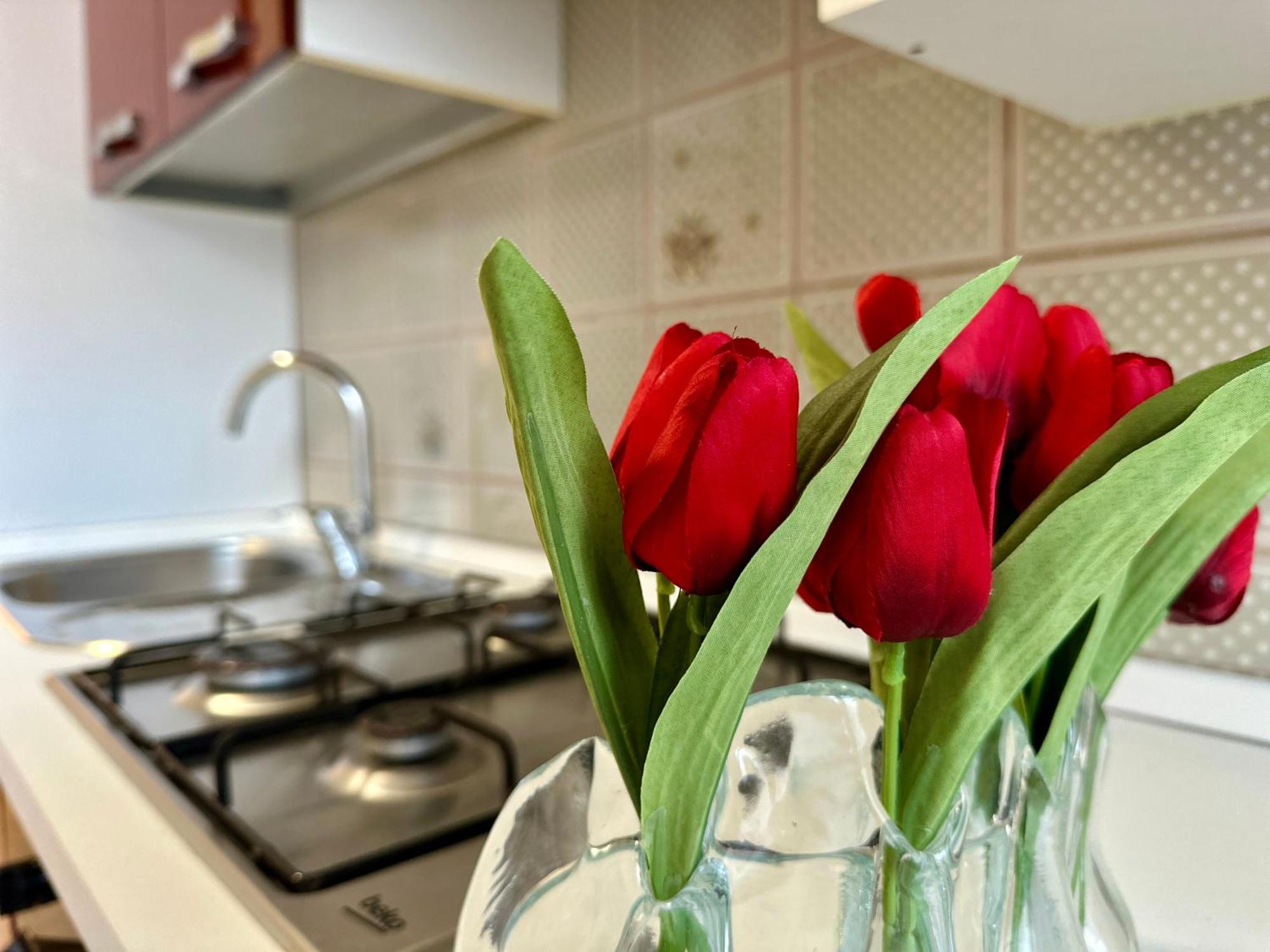 Casa vacanze Appia House Roma